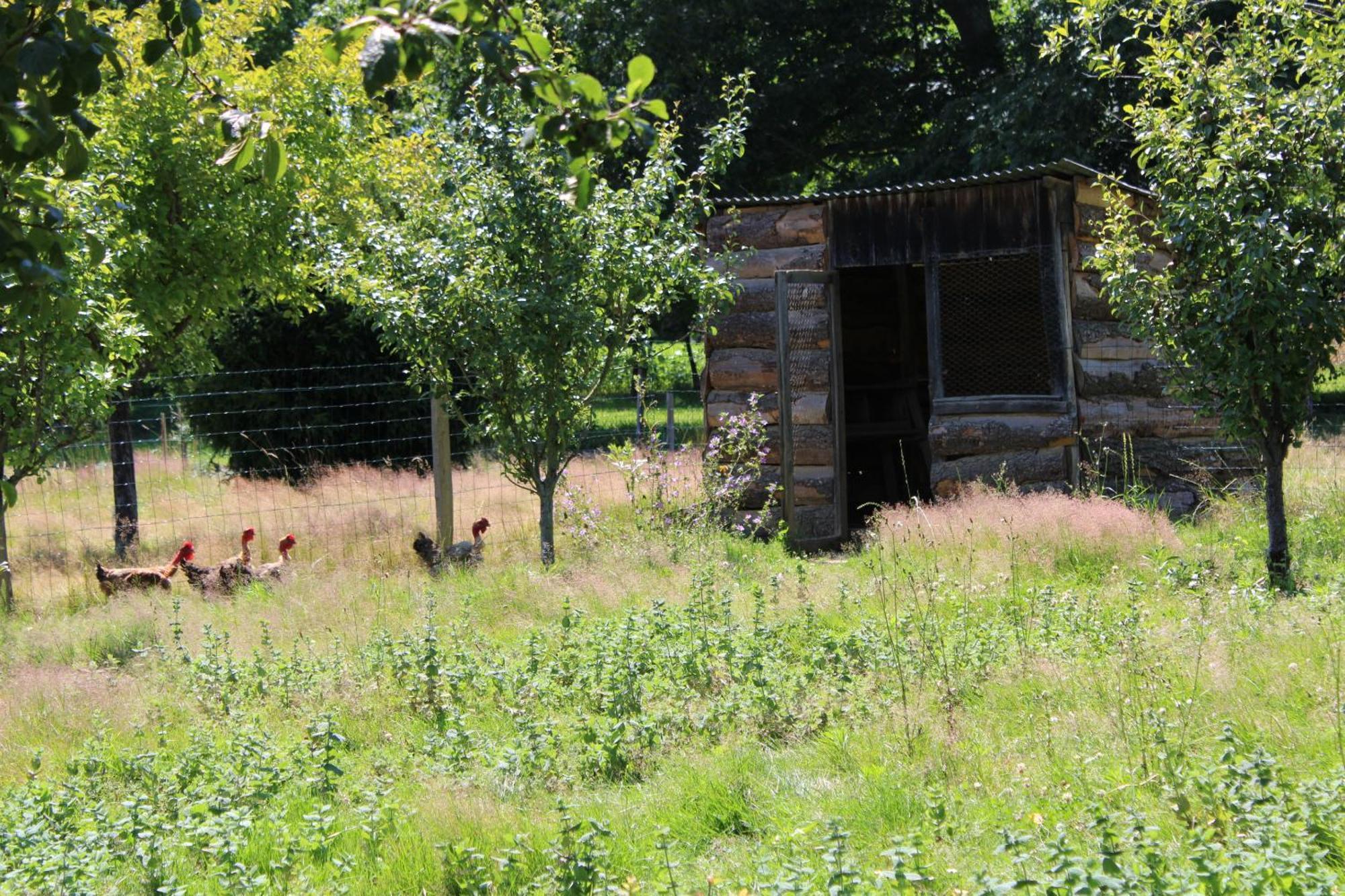 Ecogite Rural La Cle Des Champs Peyrelongue-Abos Kamer foto